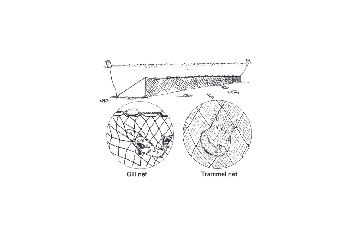 trammel-net