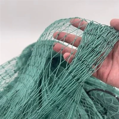 Tilapia ve Tatlı Su Balıkları İçin Seine Gölü Ağı